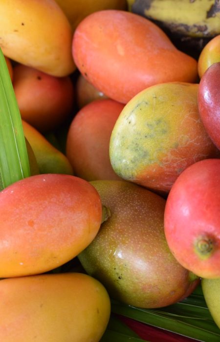 Mangoes found along Rakiraki Fiji.